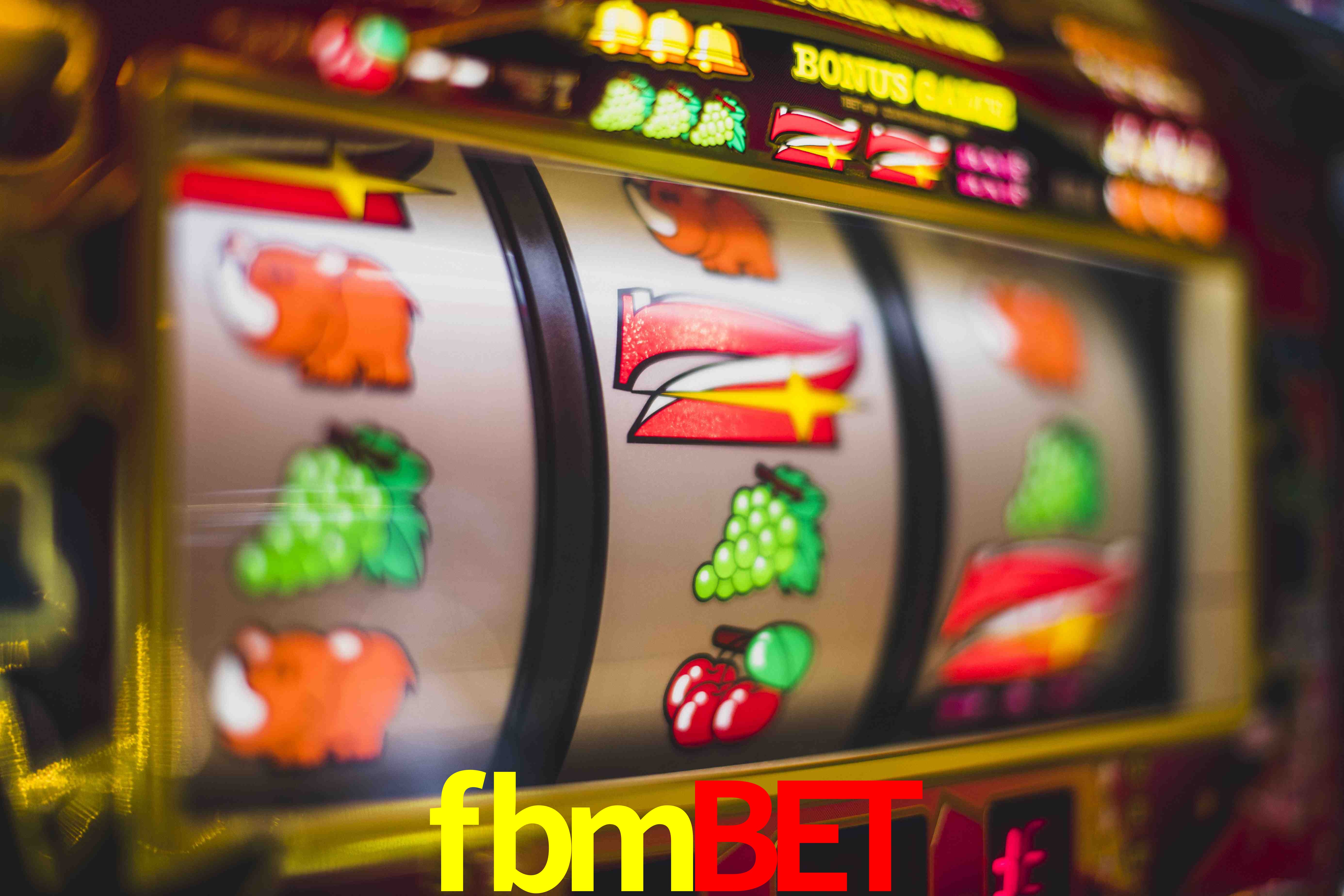 Crash Games Statistics fbmbet